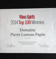 131 2 - Domaine Luneau Papin