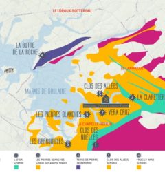 Plan1 - Domaine Luneau Papin