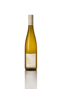 folle blanche B 2 copie - Domaine Luneau Papin