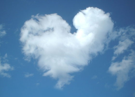 Love is in the air - Domaine Luneau Papin
