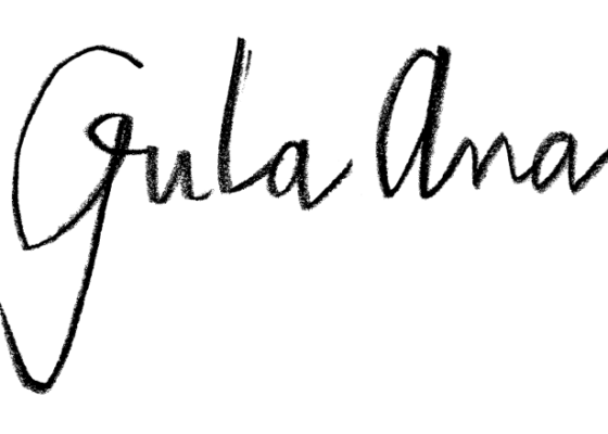 Gula Ana - Domaine Luneau Papin