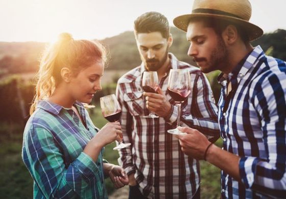 http 2F2Fmedia.smartbox.com2Fblog2Fwp content2Fuploads2F20172F102F021519072FdC3A9gustation de vin - Domaine Luneau Papin