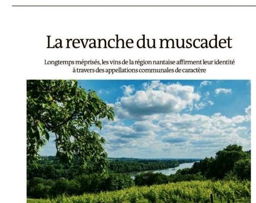 revanche-muscadet