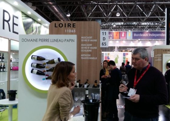 Luneau papin 2 - Domaine Luneau Papin