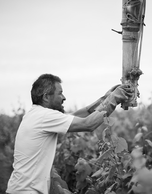 bruno - Domaine Luneau Papin