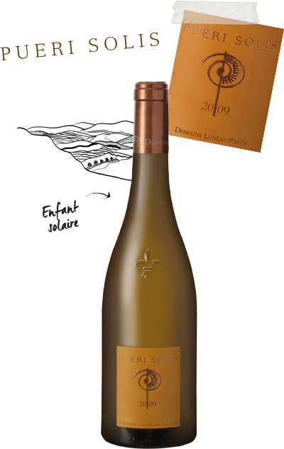 cuvee pueris solis - Domaine Luneau Papin