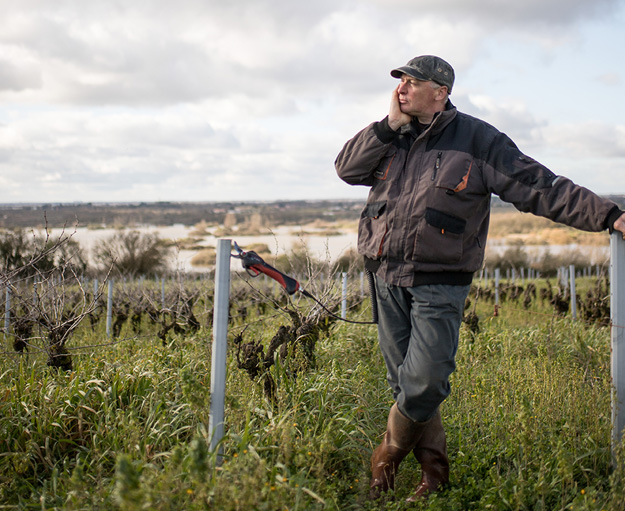 franck - Domaine Luneau Papin