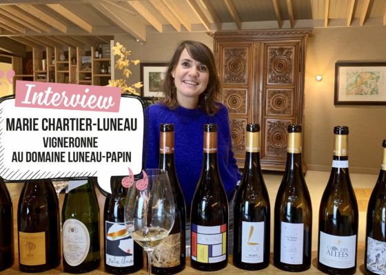80652ea35bfea066175fd90ed2696f8e003840002366 3840 1 - Domaine Luneau Papin