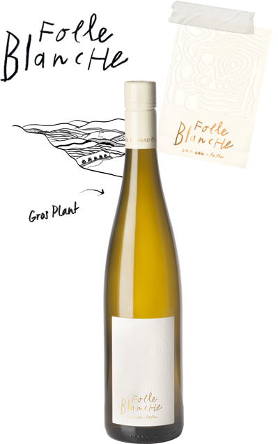 cuvee folle blanche - Domaine Luneau Papin