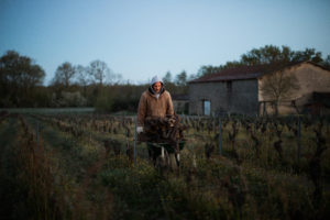 Gel2021 1 103 - Domaine Luneau Papin