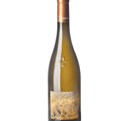 terredepierre - Domaine Luneau Papin