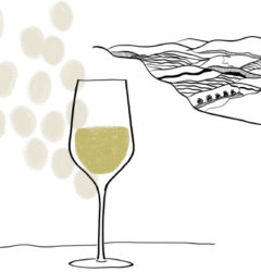 dessin vin - Domaine Luneau Papin