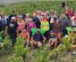 TEAM THE END - Domaine Luneau Papin