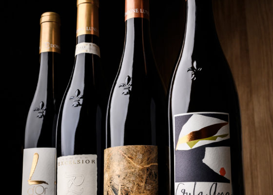 DOMAINE LUNEAU PAPIN BY PAUL STEFANAGGI 17 - Domaine Luneau Papin