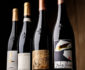 DOMAINE LUNEAU PAPIN BY PAUL STEFANAGGI 17 - Domaine Luneau Papin
